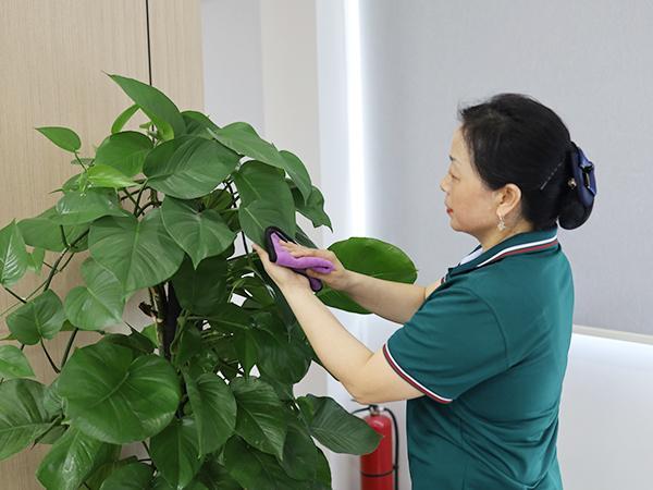 辦公室保潔主要做些什么？